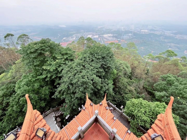 從心出發(fā)，融入自然